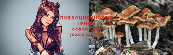 бошки Алзамай