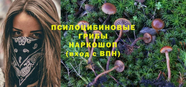 бошки Алзамай