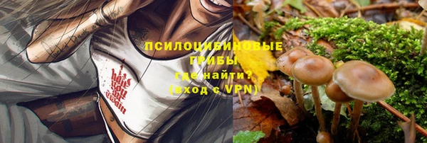МДМА Алексеевка